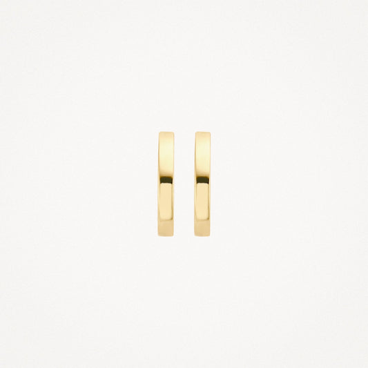 Blush Oorringen 14kt Goud 7202YGO