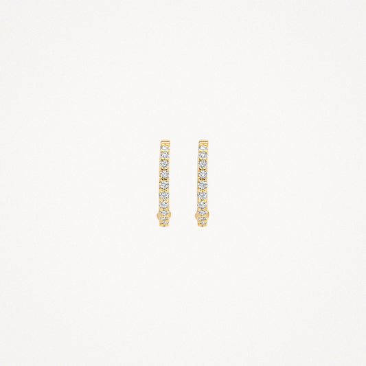Blush Oorringen 14kt Goud 7269YZI