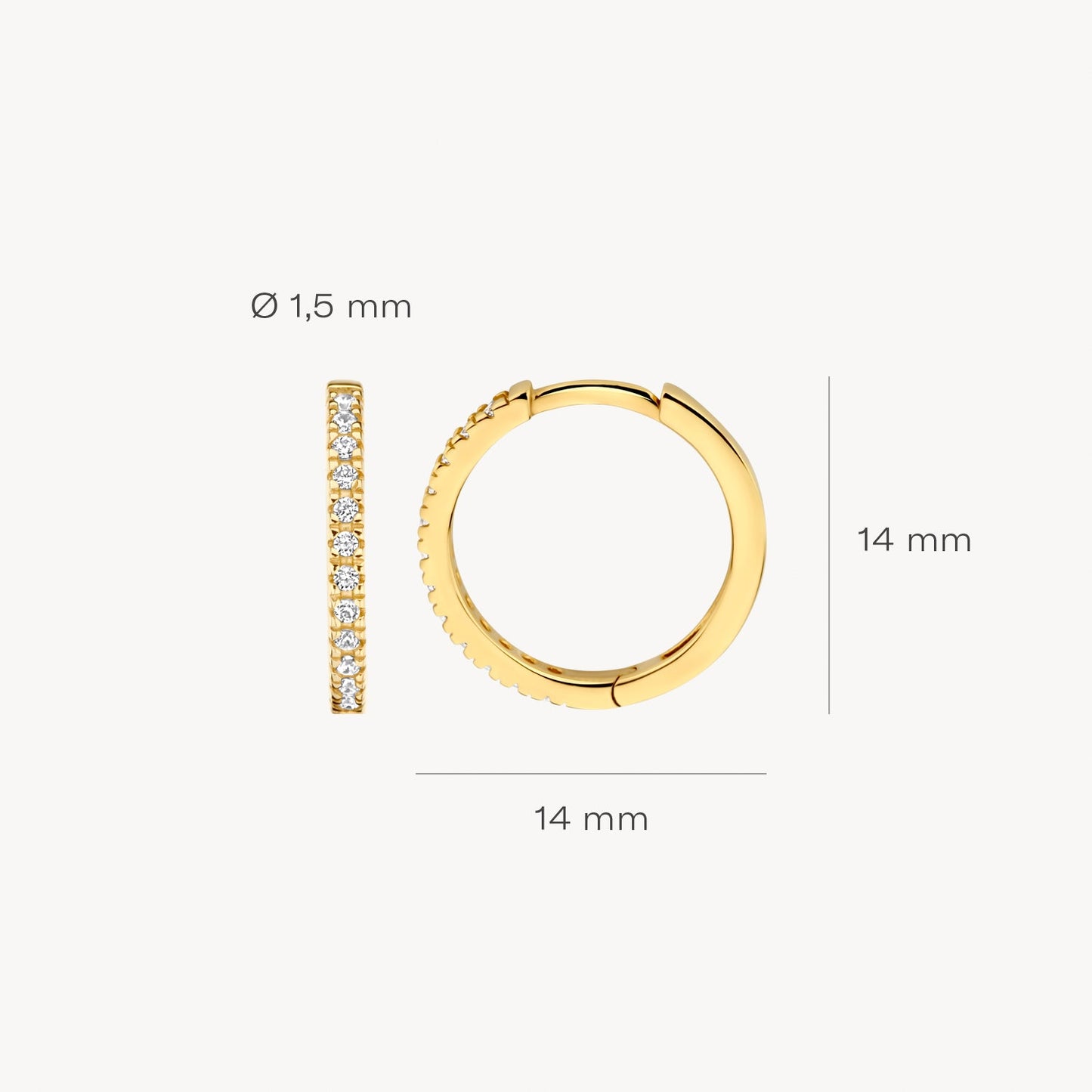 Blush Oorringen 14kt Goud 7309YZI