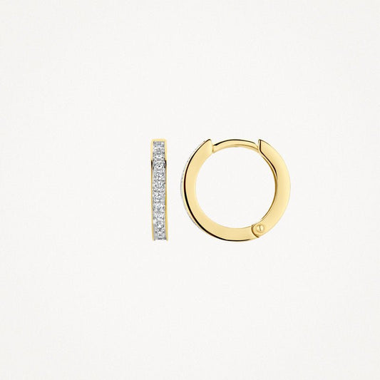 Blush oorsieraden goud 7163BZI