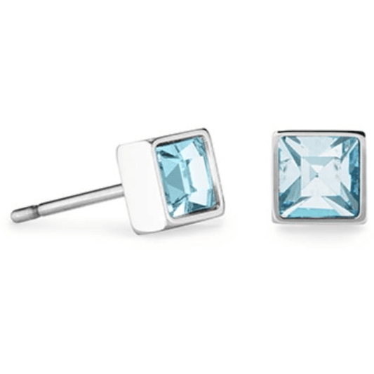 Coeur de lion oorsieraden 0501/21 - 2017