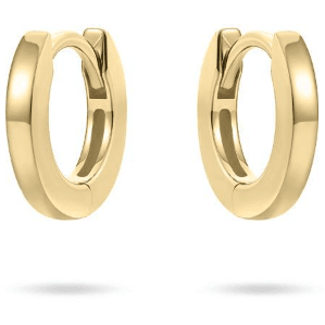 Gouden Oorsieraden VGKCG2/12