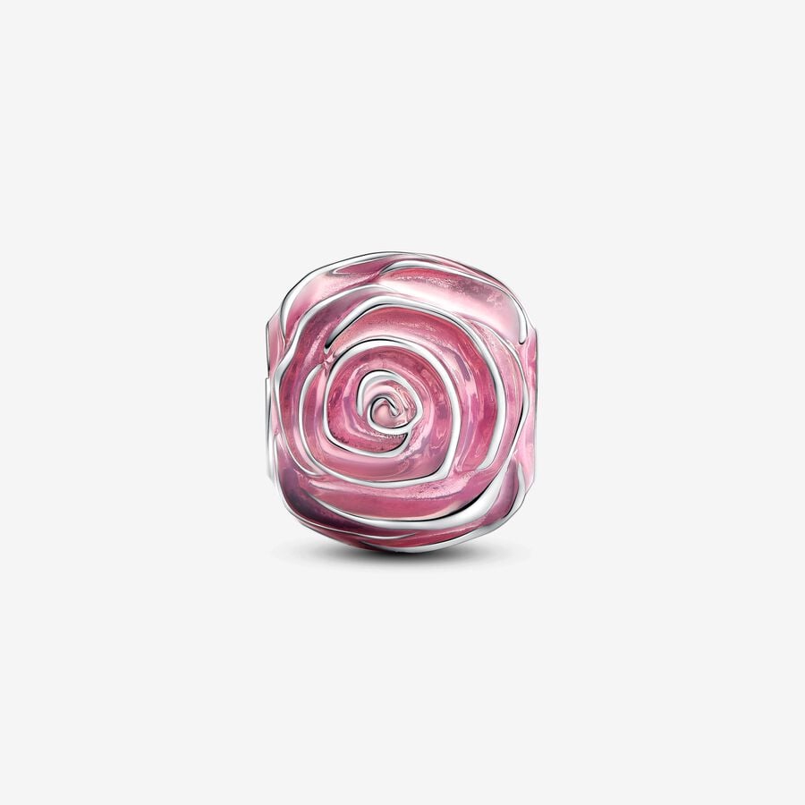 Pandora Bedel Roze Roos in Bloei 793212C01