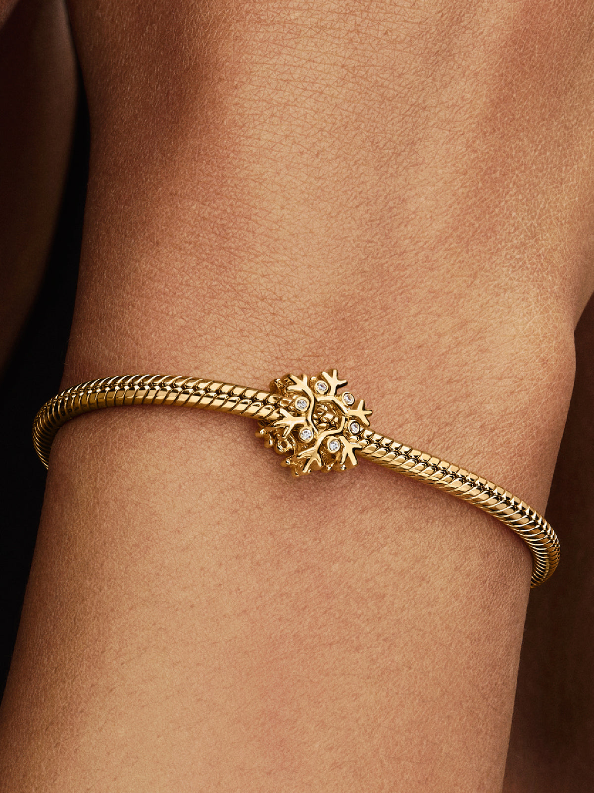 Pandora Sneeuwvlok Bedel 764249C01