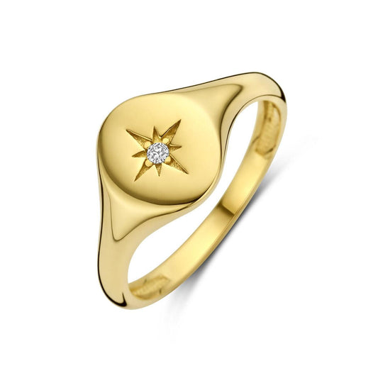 vDam 14k Geelgouden Ring met Zirkonia 4031556