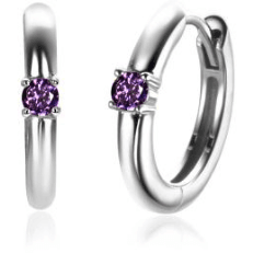 Zinzi Oorsieraden Geboortestenen ZICRZ - FEB