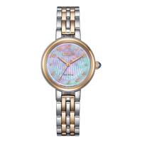 Citizen Dames Eco-Drive EM0996-84Y