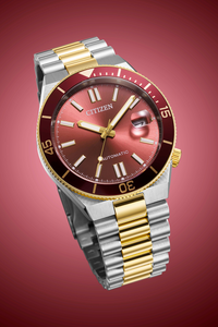 Citizen Tsuyosa Shore NJ0232-58X