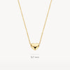 Blush Ketting 14kt Goud 3062YGO