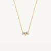 Blush Ketting 14kt Goud 3136BZI