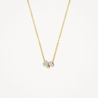 Blush Ketting 14kt Goud 3136BZI