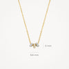 Blush Ketting 14kt Goud 3136BZI
