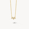 Blush Ketting 14kt Goud 3136YZI