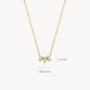 Blush Ketting 14kt Goud 3136YZI