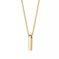 Blush Ketting 14kt Goud 3093YGO