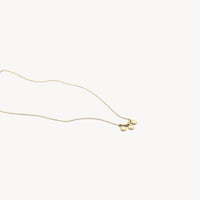 Blush Ketting 14kt Goud 3171YGO