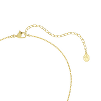 Swarovski Ketting met Hangers 5737290