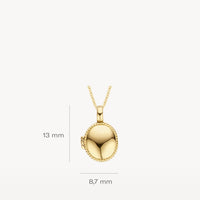 Blush Bedel 14kt Goud 6087YGO