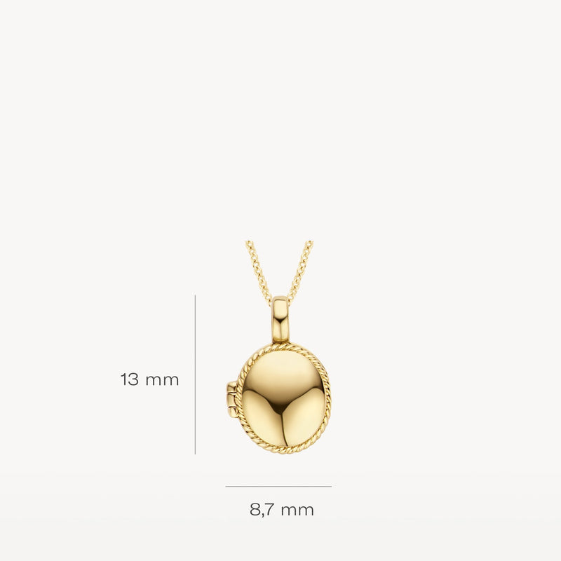 Blush Bedel 14kt Goud 6087YGO