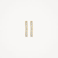 Blush Oorringen 14kt Goud 7166YZI