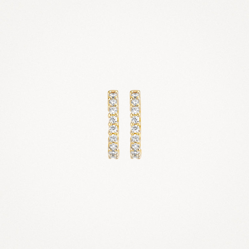 Blush Oorringen 14kt Goud 7166YZI