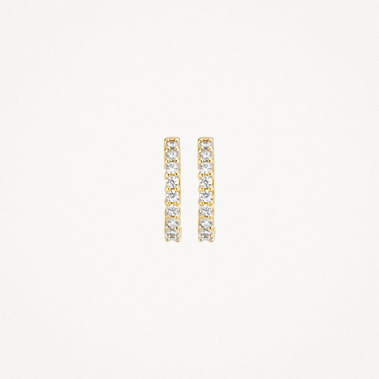 Blush Oorringen 14kt Goud 7166YZI
