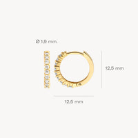 Blush Oorringen 14kt Goud 7166YZI