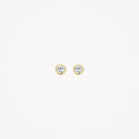 Blush Oorknoppen 14kt Goud 7214YZI