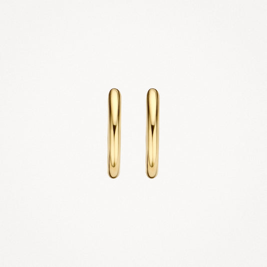 Blush Oorringen 14kt Goud 7218YGO