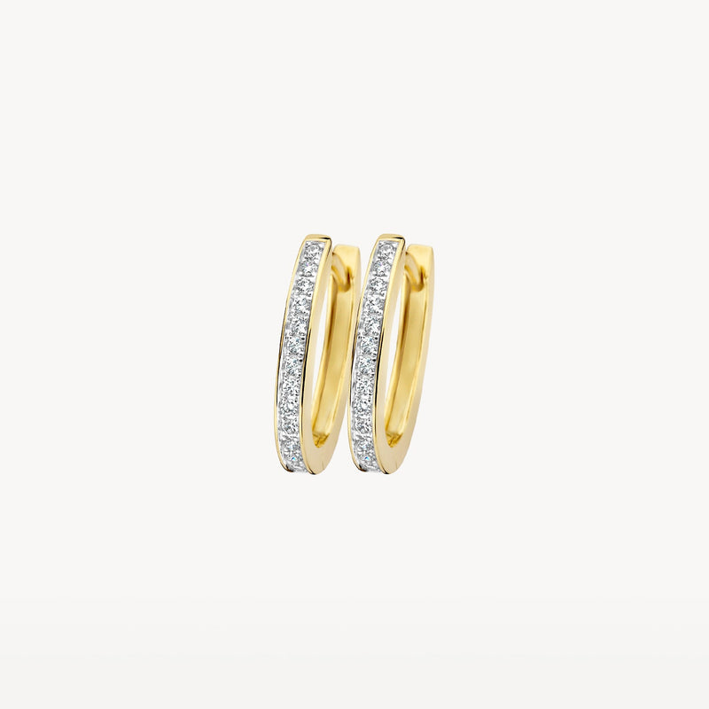 Blush Oorringen 14kt Goud 7234BZI