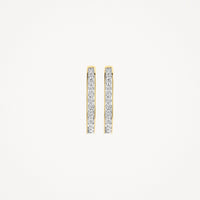 Blush Oorringen 14kt Goud 7234BZI