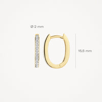 Blush Oorringen 14kt Goud 7234BZI