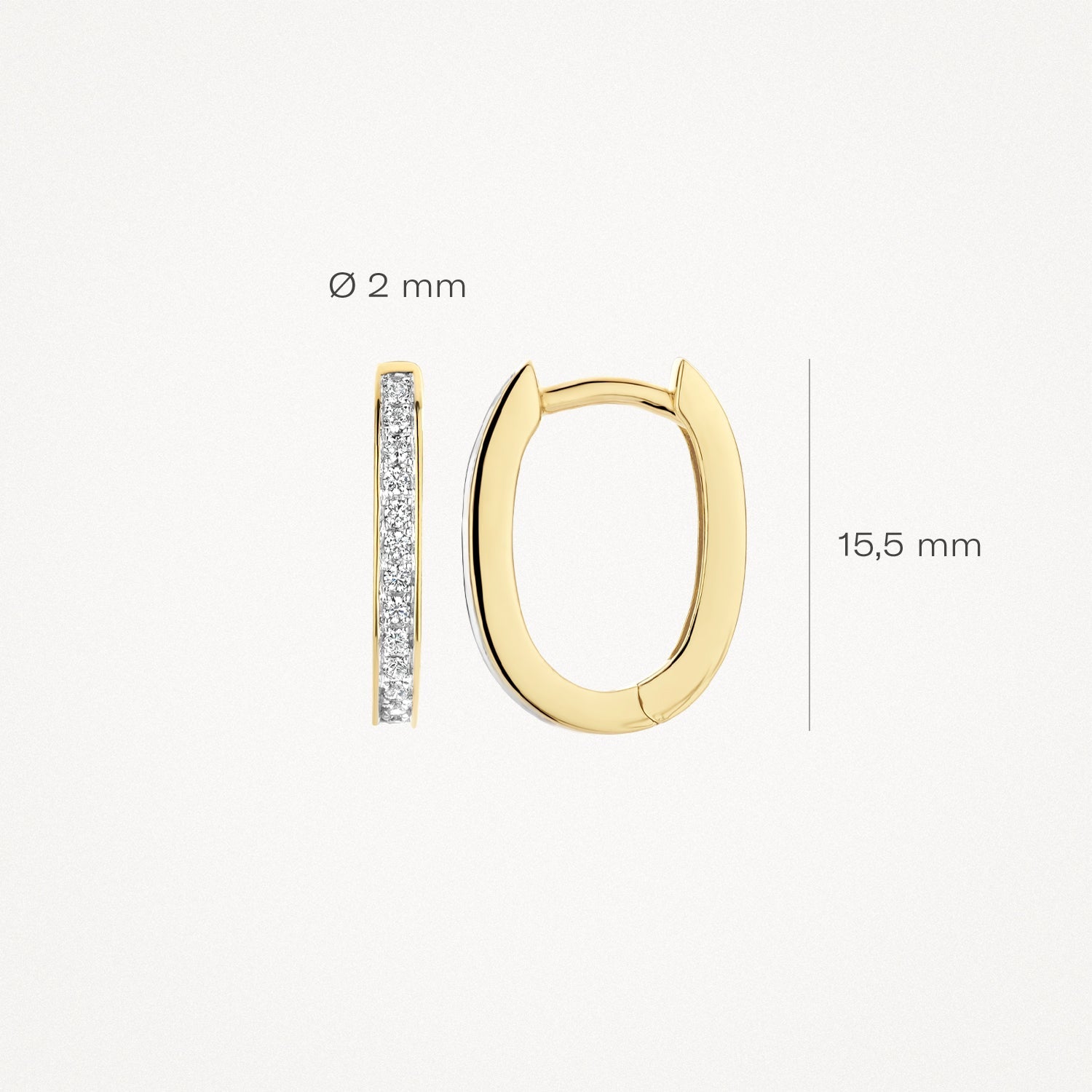 Blush Oorringen 14kt Goud 7234BZI