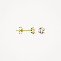 Blush Oorknoppen 14kt Goud 7241YZI