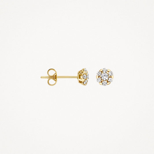 Blush Oorknoppen 14kt Goud 7241YZI
