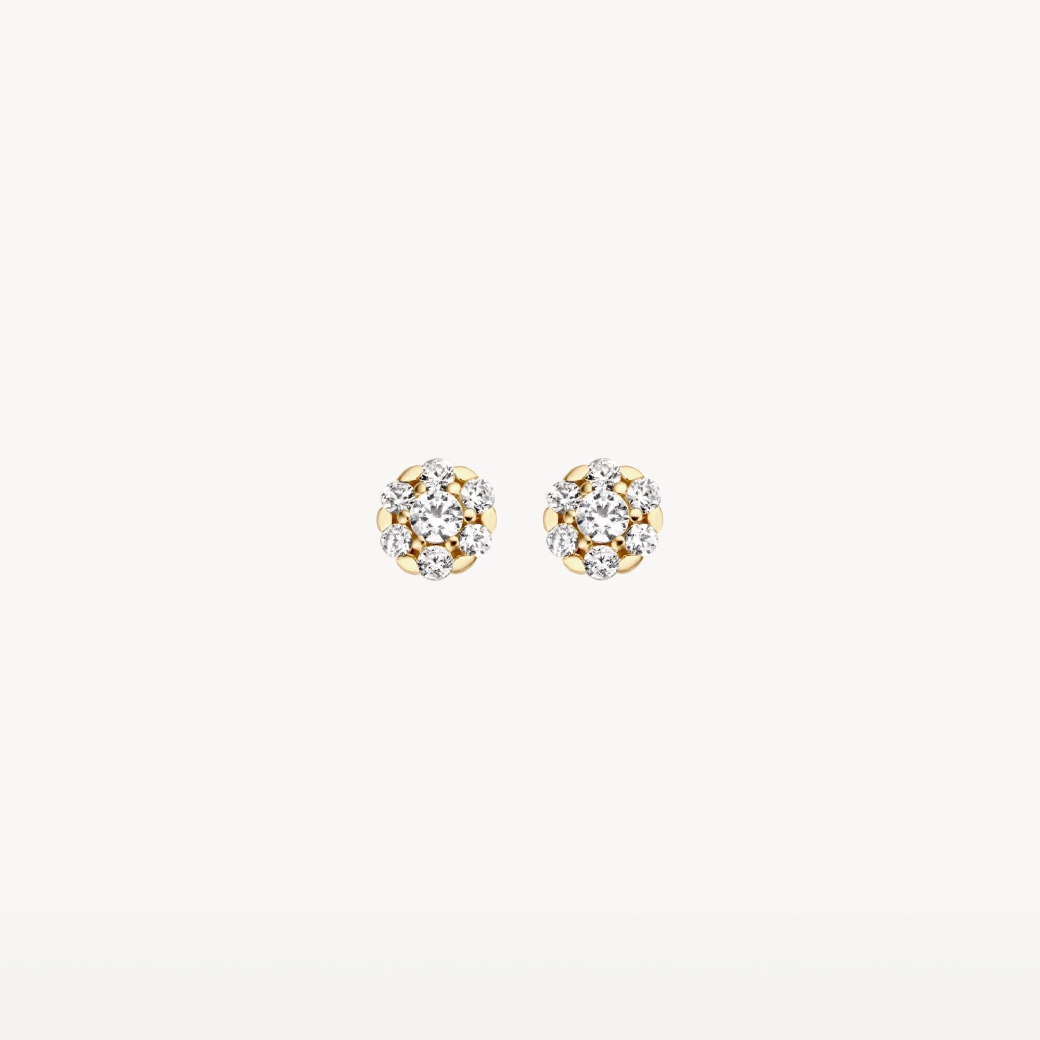 Blush Oorknoppen 14kt Goud 7241YZI