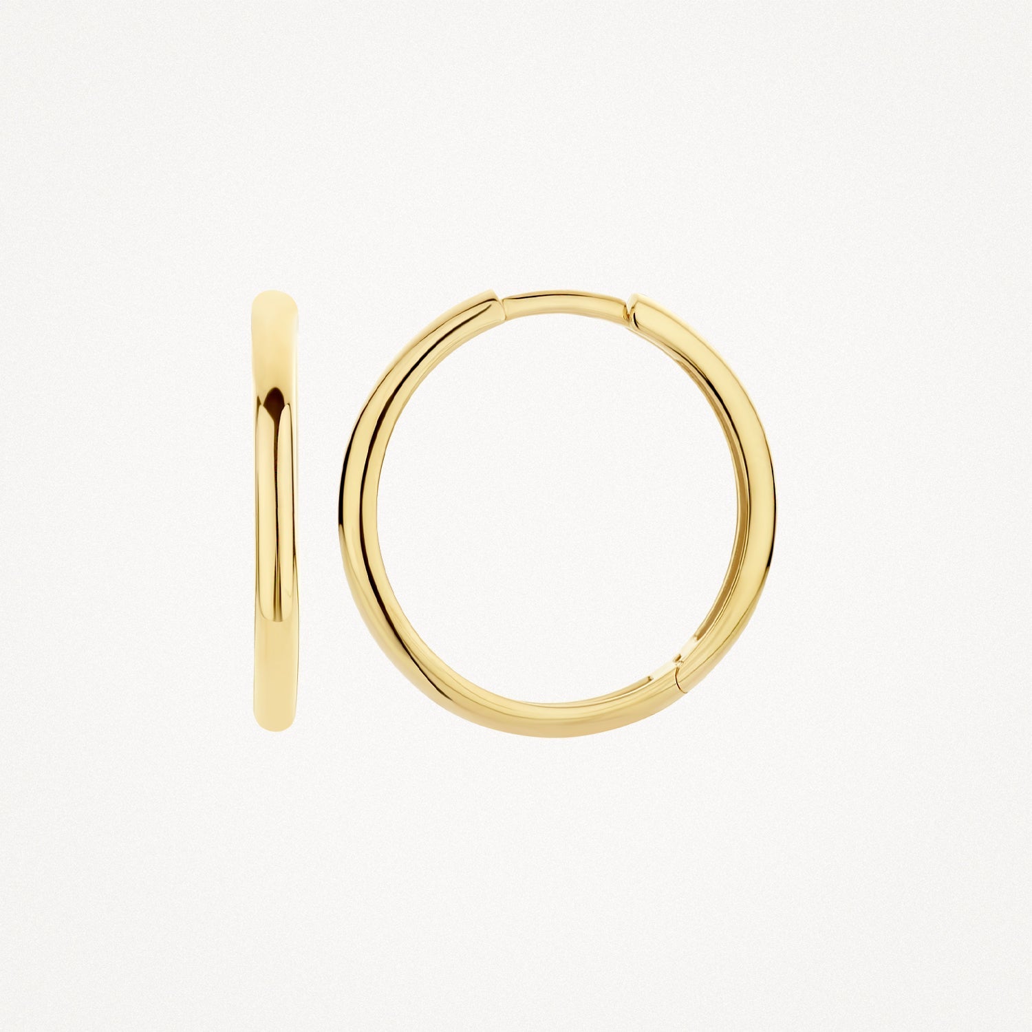 Blush Oorringen 14kt Goud 7274YGO