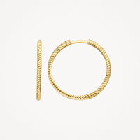 Blush Oorringen 14kt Goud 7287YGO