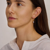 Blush Oorringen 14kt Goud 7287YGO