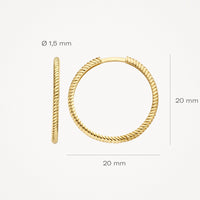 Blush Oorringen 14kt Goud 7287YGO