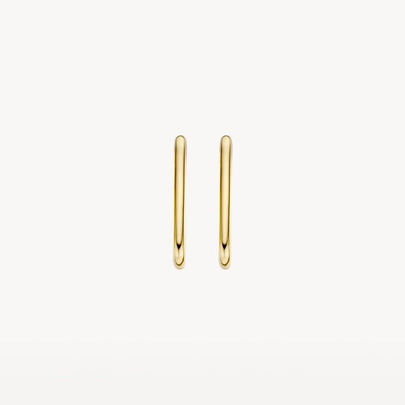 Blush Oorringen 14kt Goud 7295YGO