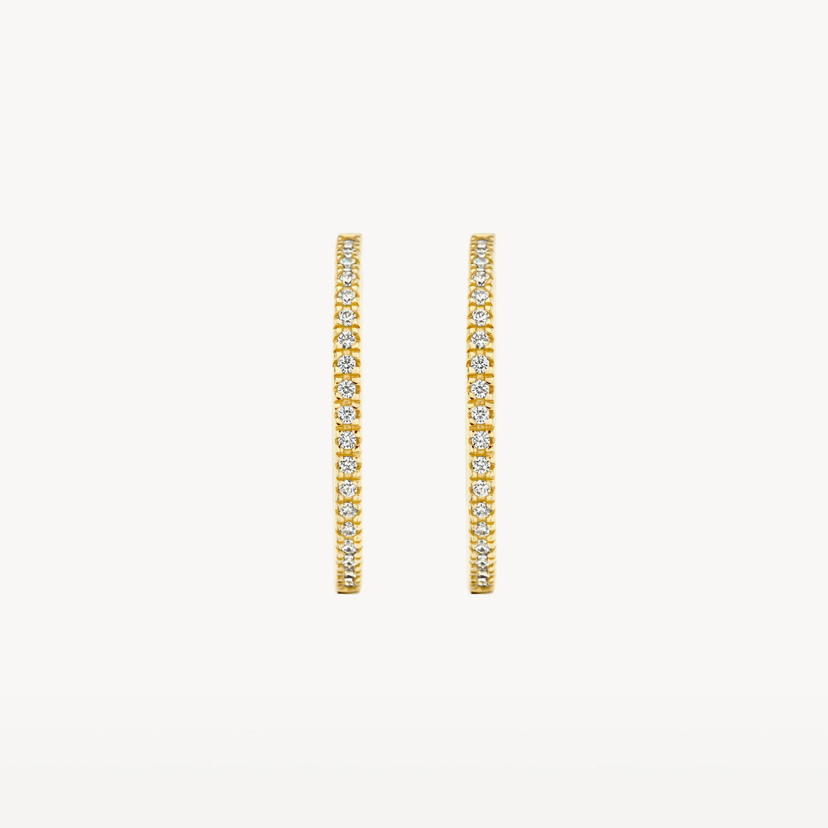 Blush Oorringen 14kt Goud 7306YZI