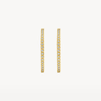 Blush Oorringen 14kt Goud 7306YZI