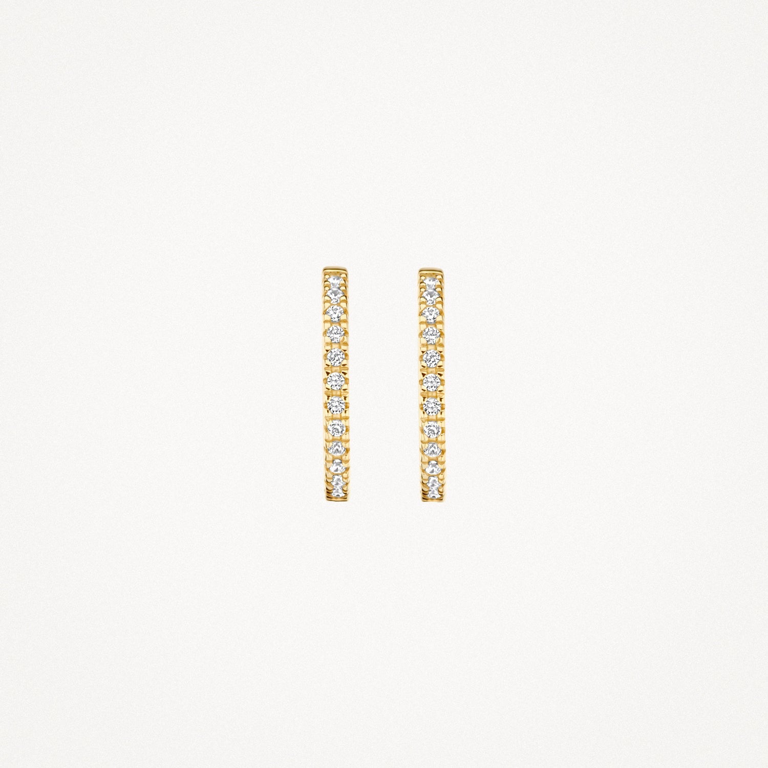 Blush Oorringen 14kt Goud 7309YZI