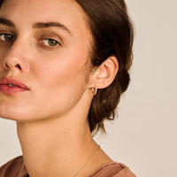 Blush Oorringen 14kt Goud 7309YZI