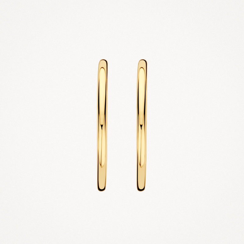 Blush Oorringen 14kt Goud 7311YGO
