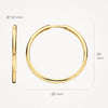 Blush Oorringen 14kt Goud 7311YGO