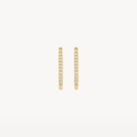 Blush Oorringen 14kt Goud 7318YZI