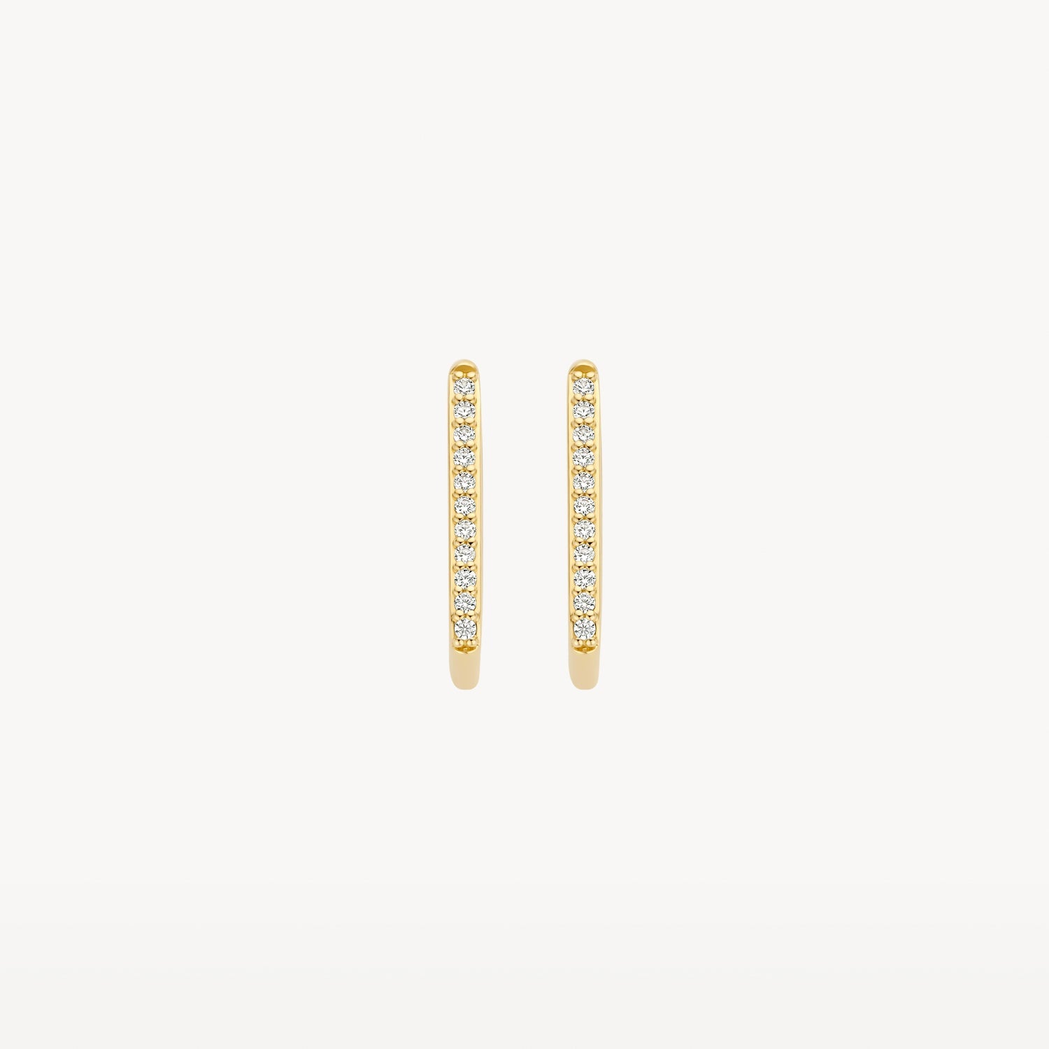 Blush Oorringen 14kt Goud 7318YZI