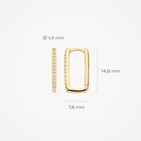 Blush Oorringen 14kt Goud 7318YZI